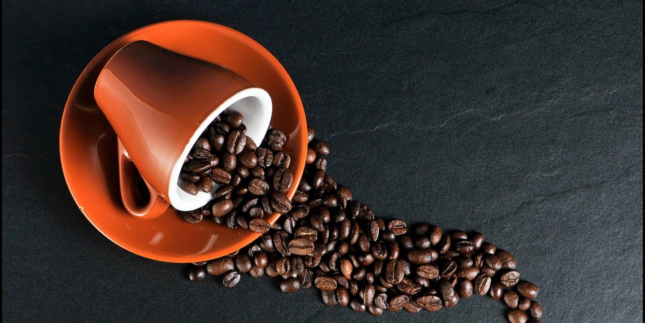 noticia-content-cafe.jpg