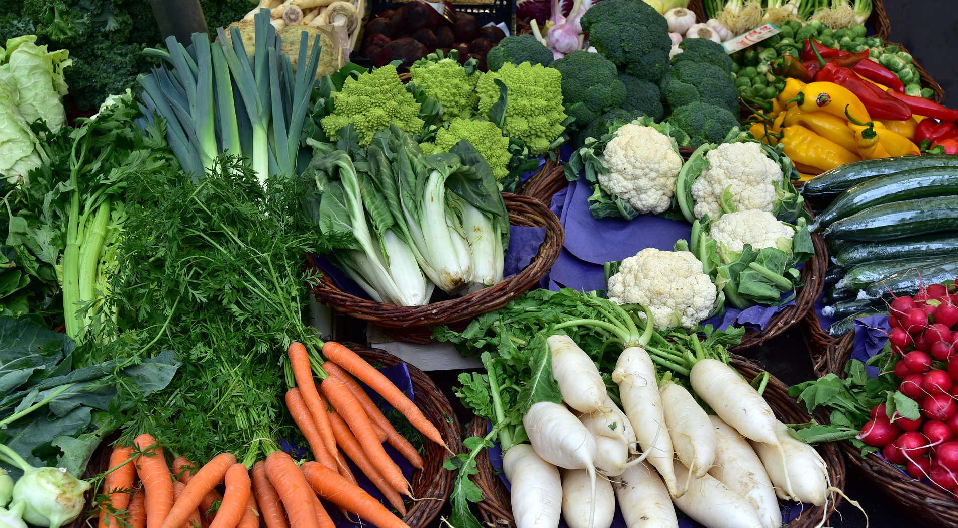 noticia-content-12012022_vegetais.jpg