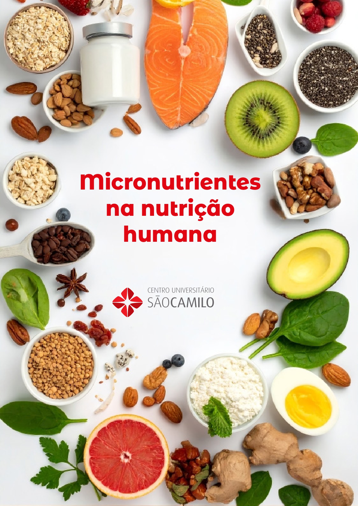 Capa do e-book Micronutrientes na nutrição humana