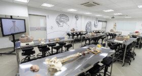 Anatomia