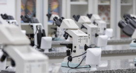 Laboratório Morfofuncional de Macroscopia