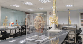 Laboratório Morfofuncional de Macroscopia