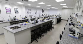 Multidisciplinar (Microscopia)