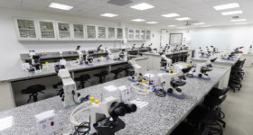 Multidisciplinar (Microscopia)